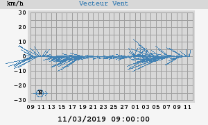 Wind Vector