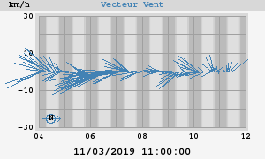 Wind Vector