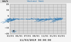 Wind Vector